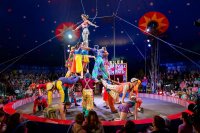 Артист циркового жанру