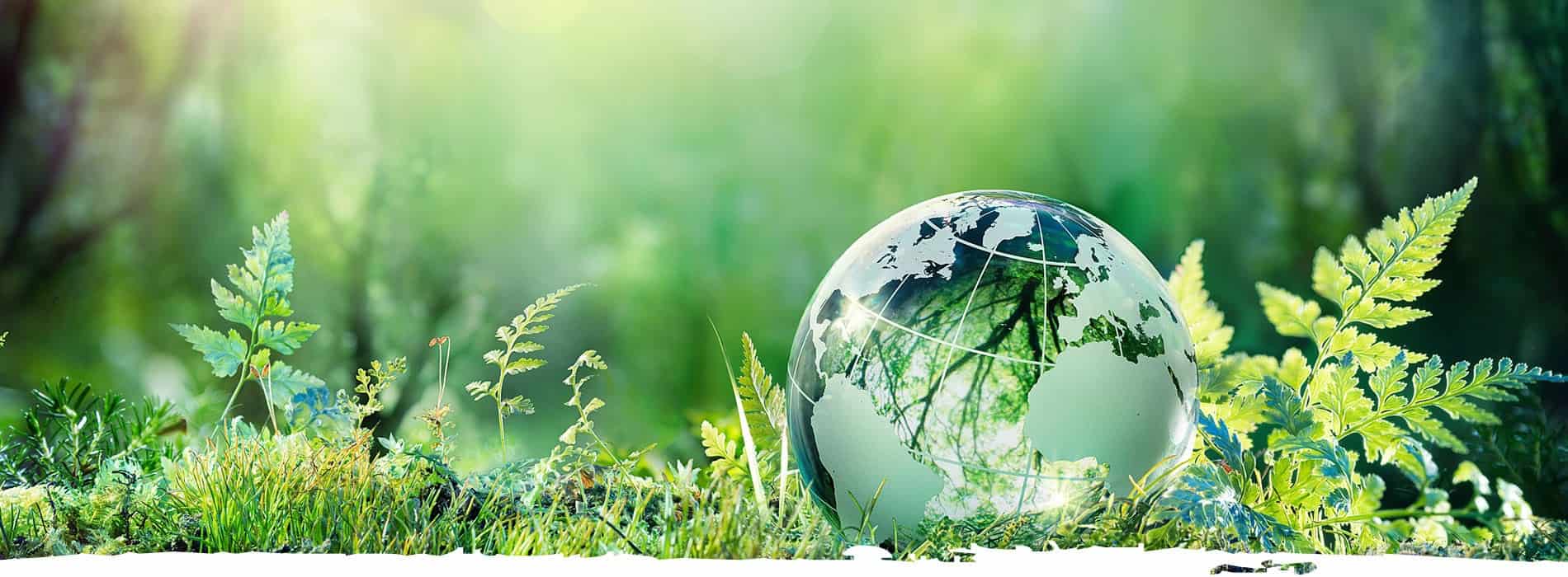 Спеціальність Екологія