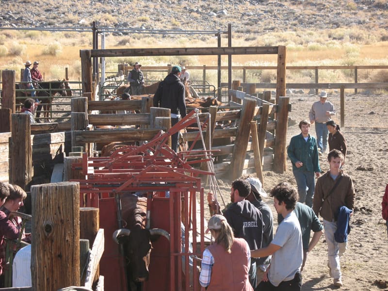 Deep Springs College foto1-286