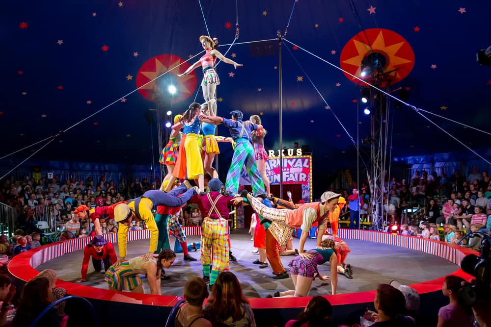 Артист циркового жанру